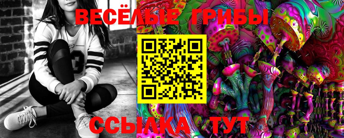 Галлюциногенные грибы MAGIC MUSHROOMS  Псилоцибиновые грибы Psilocybe  Горно-Алтайск  Вход с VPN 