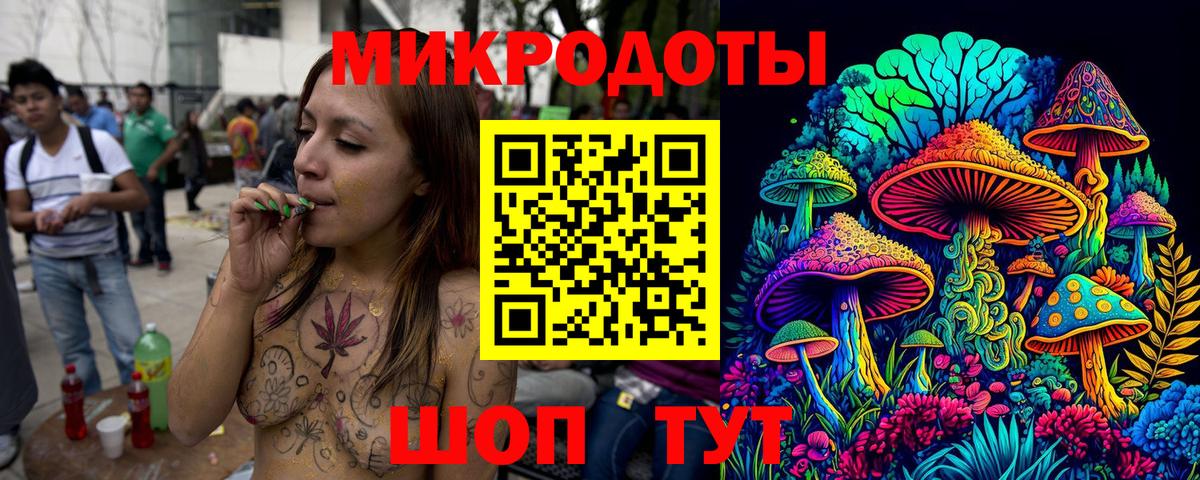 Псилоцибиновые грибы Psilocybine cubensis Горно-Алтайск